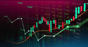 Tips Cara Belajar Trading Saham Untuk Pemula